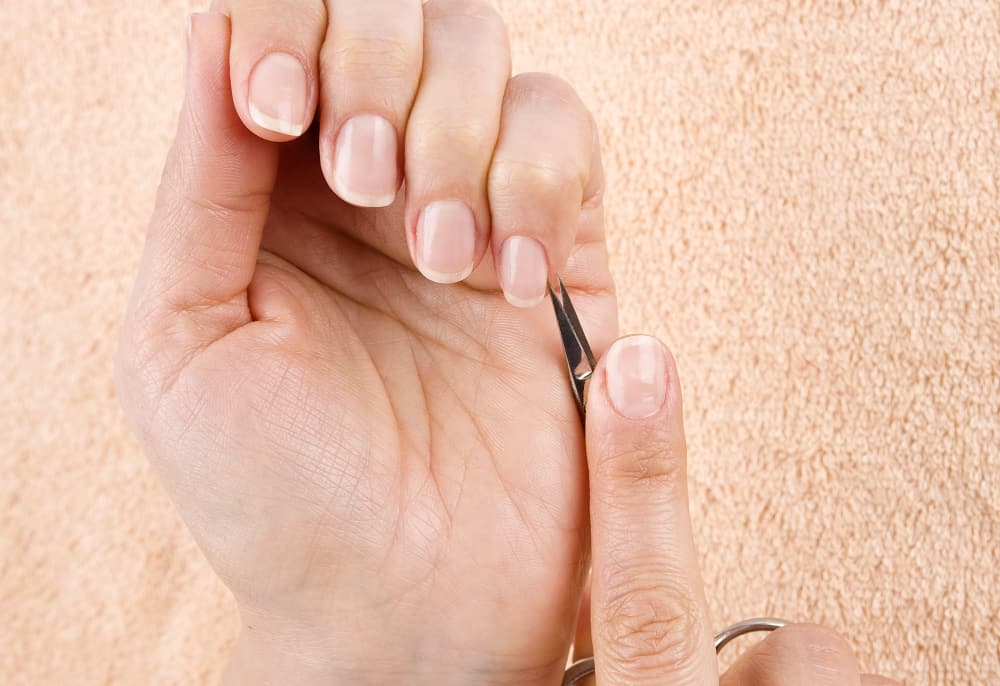 The 6 Best Nail Scissors You Can Buy in 2024 NailDesignCode