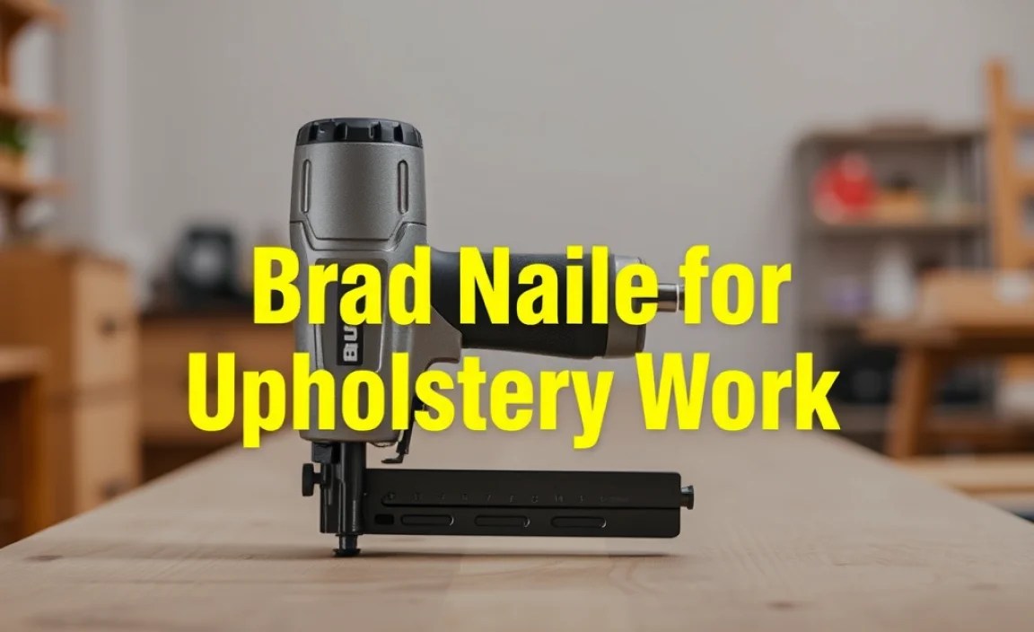Brad Nailer for Upholstery Work: Essential Guide