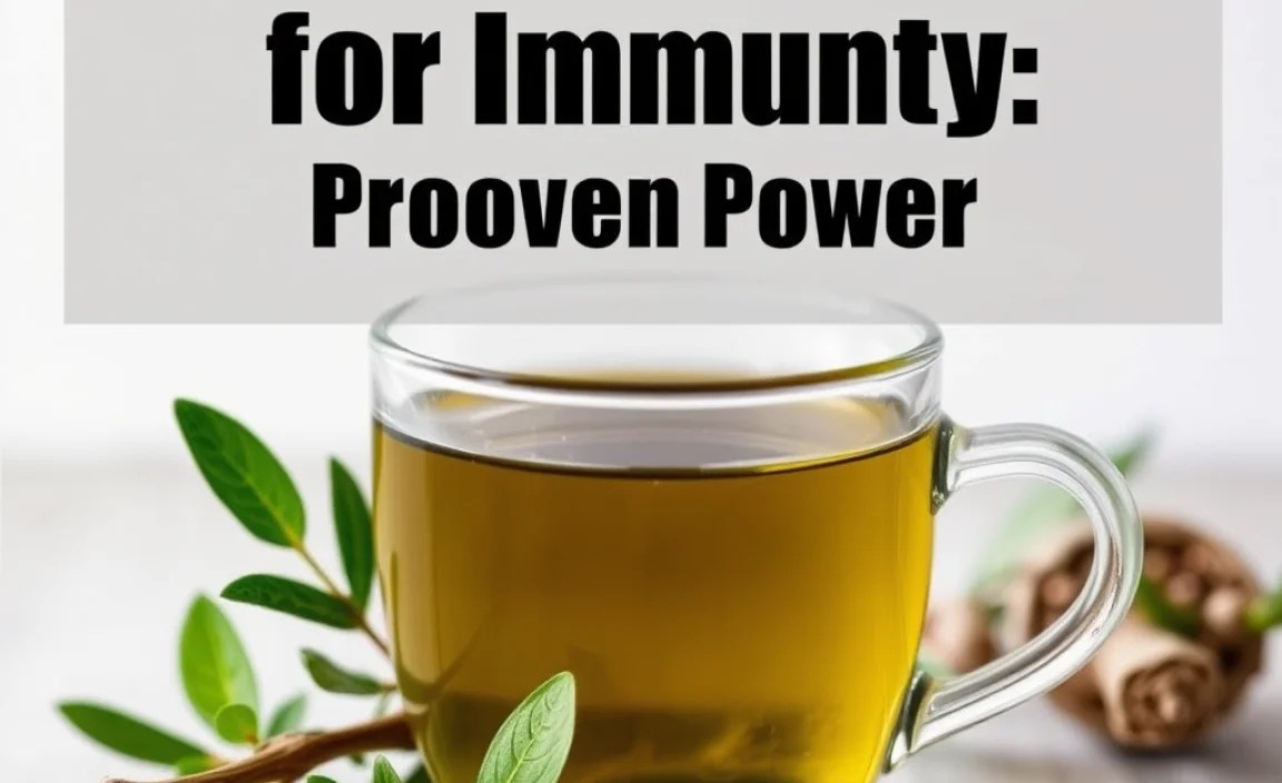 Potential Side Effects and Precautions While Using Birch Tea