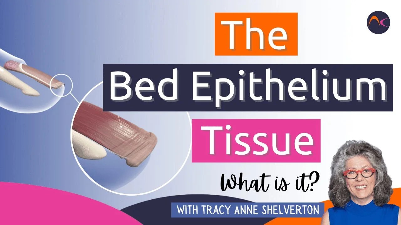 The Bed Epithelium Tissue NailKnowledge