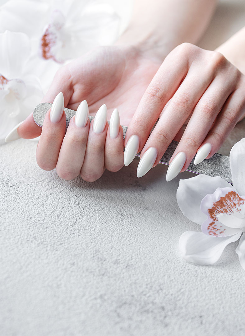 Home Nail salon in Tallahassee Nails Box FL 32312