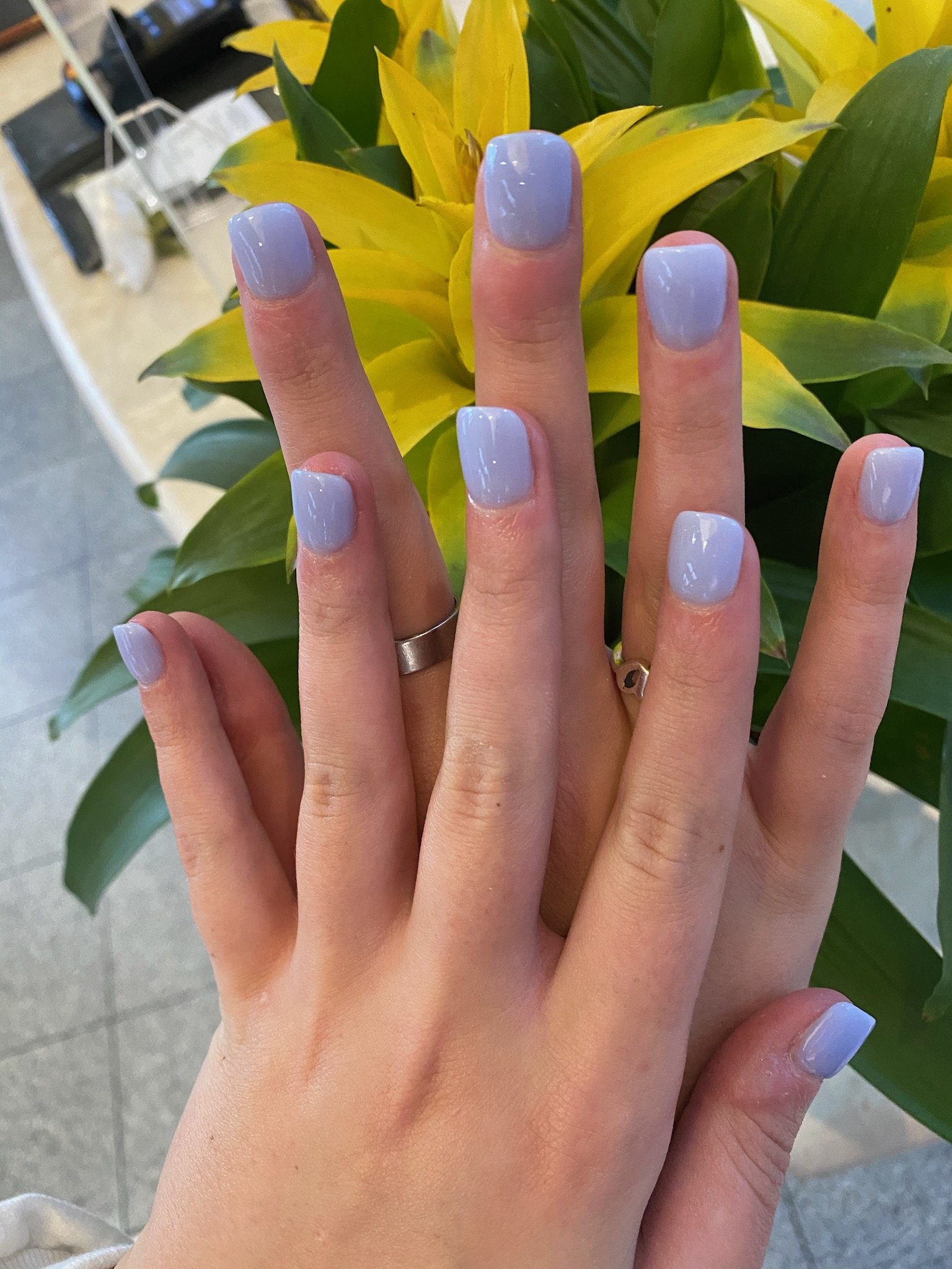 Gallery Nail Salon TX 77382 Nails of America The Woodlands, TX 77382