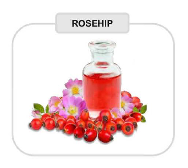 Services Nailsville of Thomasville, GA 31792 Gel Manicure, Dipping