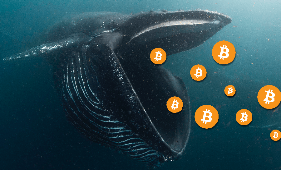 BTC whale moves 19,630 BTC valued at 185,000,000