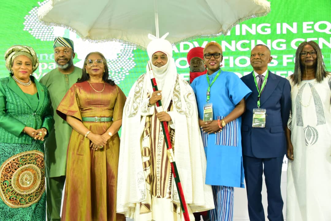 Impact Investors Foundation unveils $8 billion inclusive capital roadmap for Nigeria 