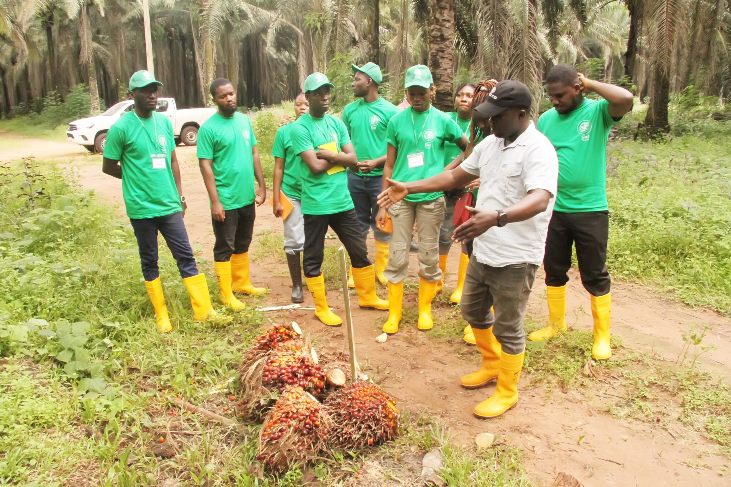 Presco launches academy, training Africa’s next agriculture business leaders 