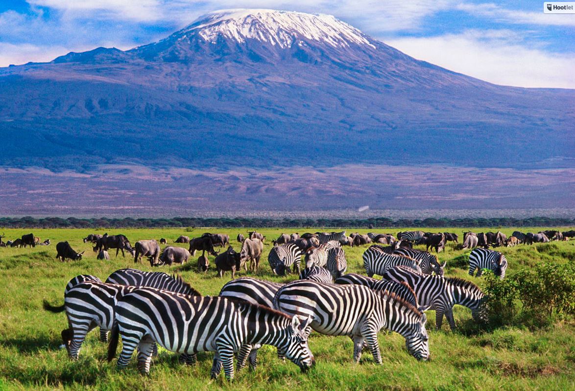 5+ Best African Safari Specials PostCovid19 (Kruger National Park