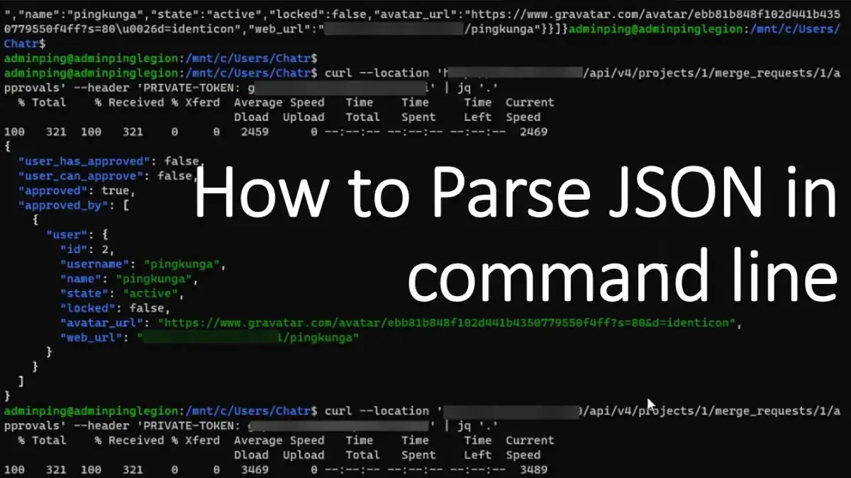 How to Parse JSON in command line naiwaenDebuggingSoft