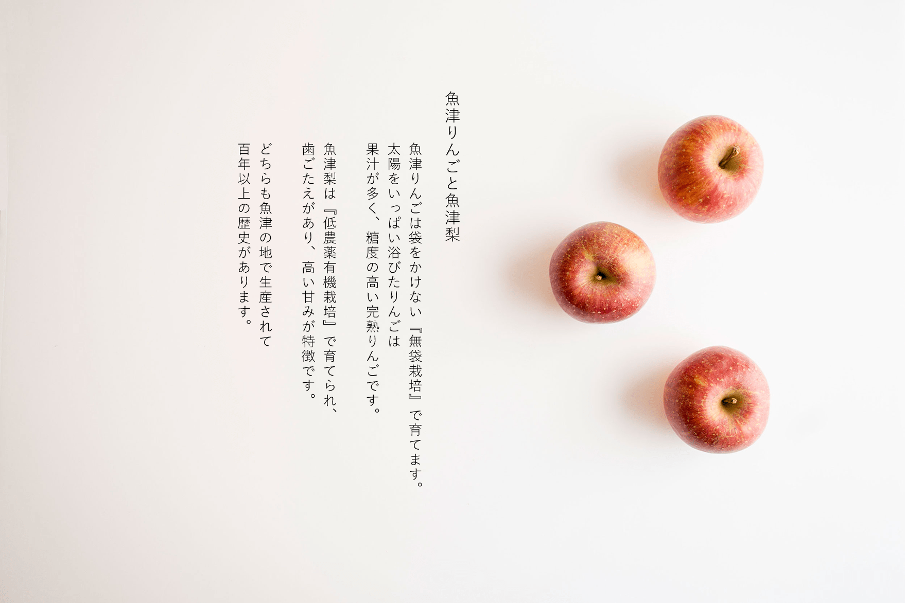 魚津梨と魚津りんご 中島果樹園 NAKASHIMA FARM