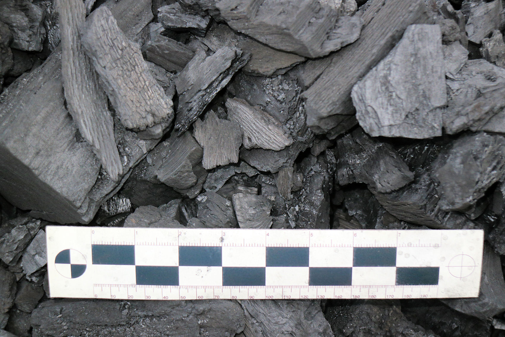 Review of Expert Grill Lump Charcoal Naked Whiz Ceramic Charcoal Cooking