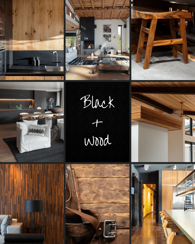 Interior Design Nakoma Custom Homes Reid at Nakoma