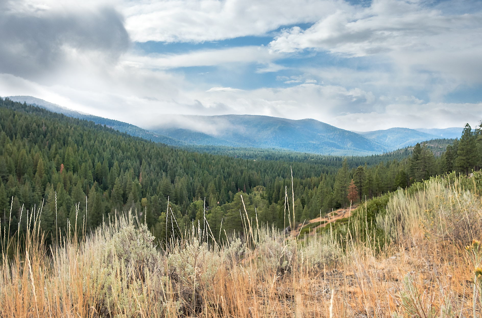 Truckee Area Scenic Lots For Sale Scenic View Homesites Nakoma Life