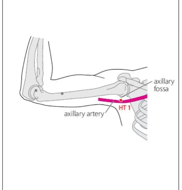HT 1 Acupuncture Point Acupuncture Point Locations Review