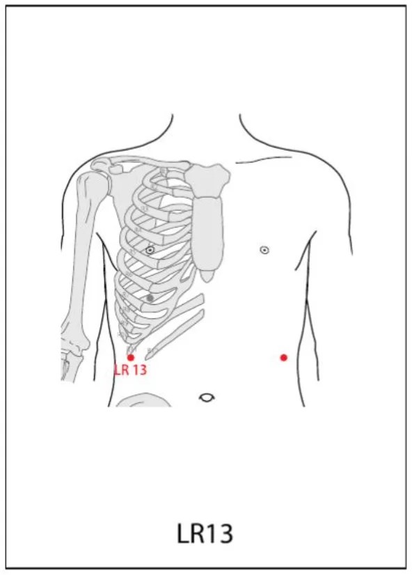 LR 13 Acupuncture Point Acupuncture Point Locations Review
