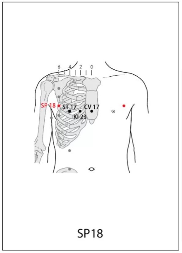 SP 18 Acupuncture Point Acupuncture Point Locations Review