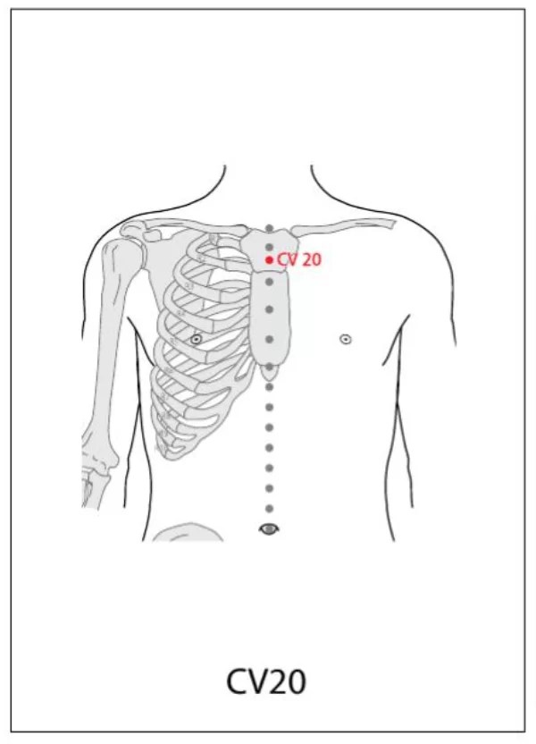 CV 20 Acupuncture Point Acupuncture Point Locations Review