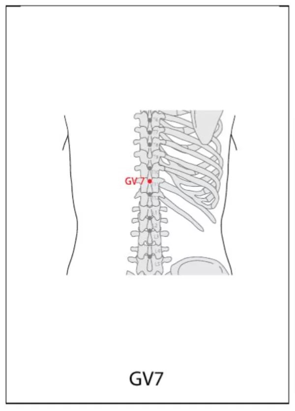 GV 7 Acupuncture Point Acupuncture Point Locations Review