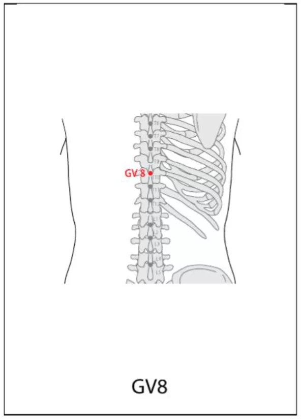 GV 8 Acupuncture Point Acupuncture Point Locations Review