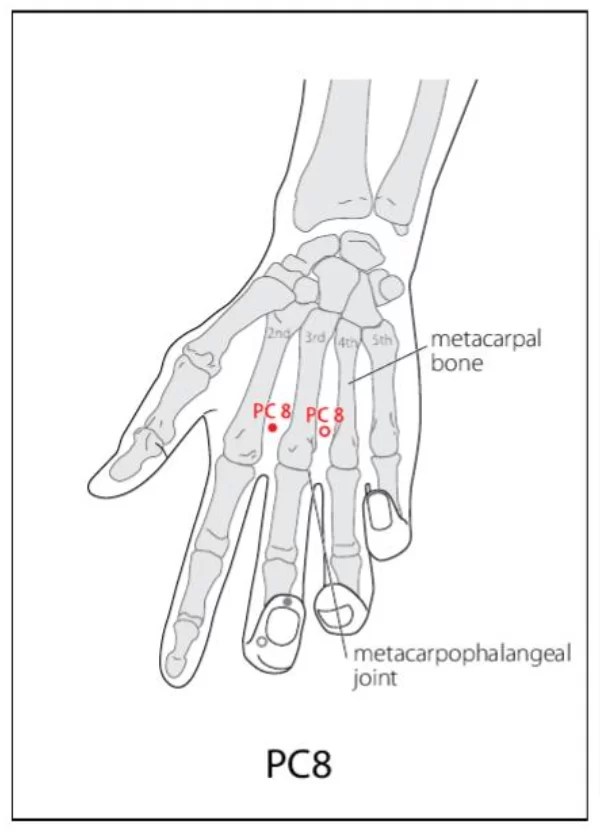 PC 8 Acupuncture Point Acupuncture Point Locations Review