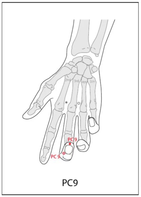 BLADDER ACUPUNCTURE POINT LOCATIONS TheGoodShep2023