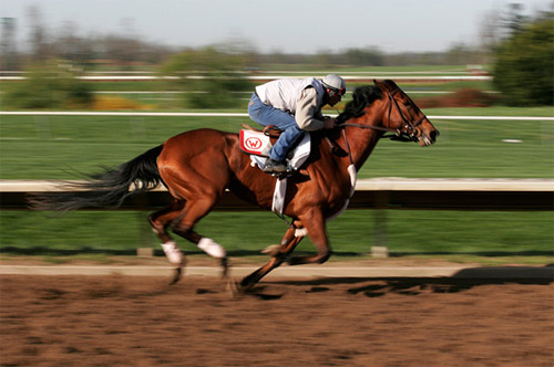 40 Examples of Panning Shots in Photography Naldz Graphics