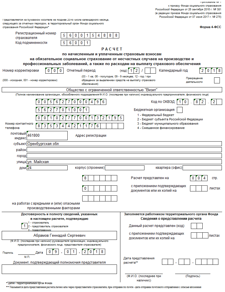 Образец заполнения опись представленных документов в фсс