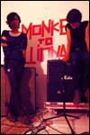 monkey to millionaire