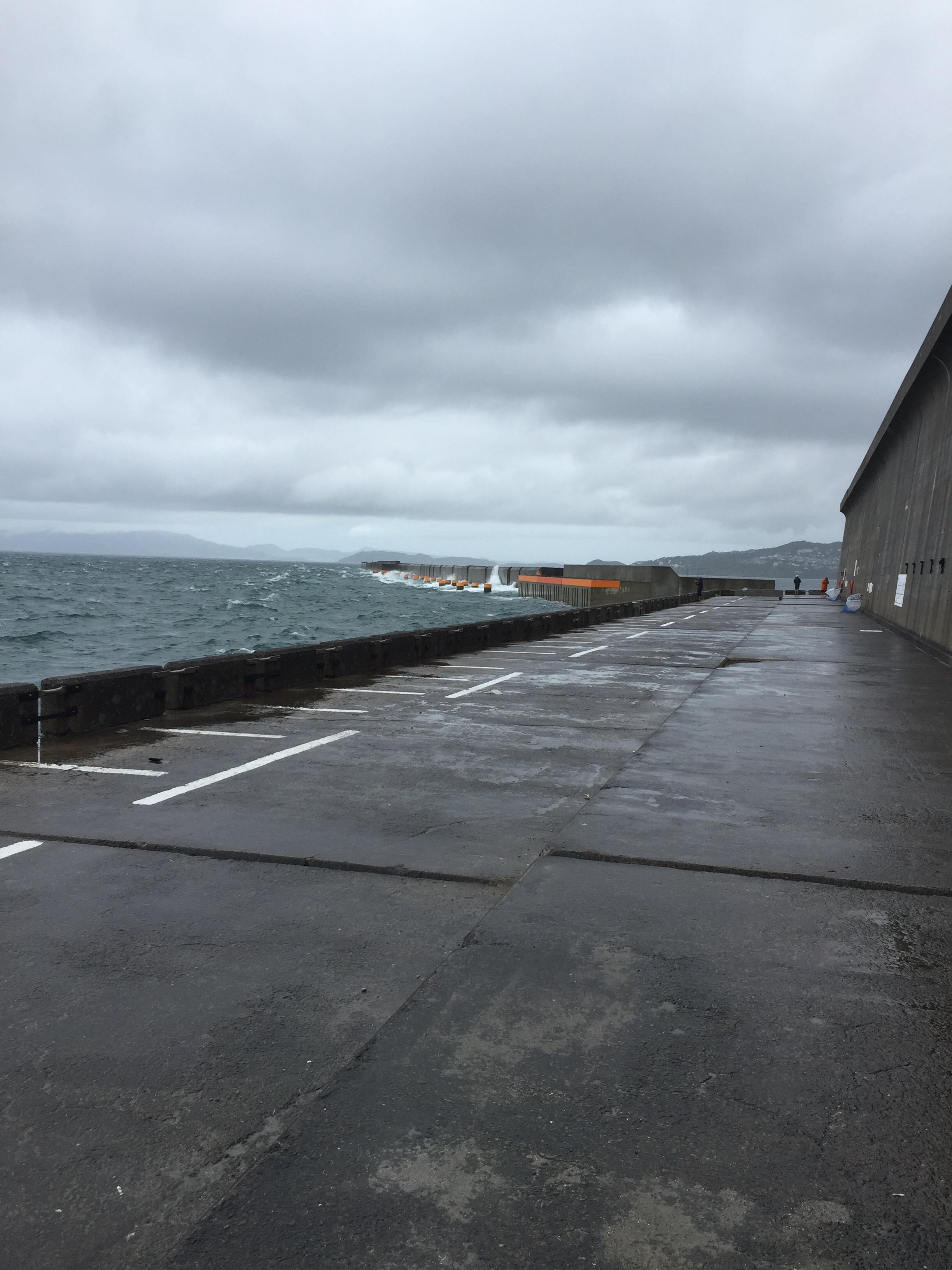 和歌山北港うお釣り公園、初心者のショアジギングとファミリーフィッシングにオススメの釣り公園 ヒラマサとアオリイカを求めて