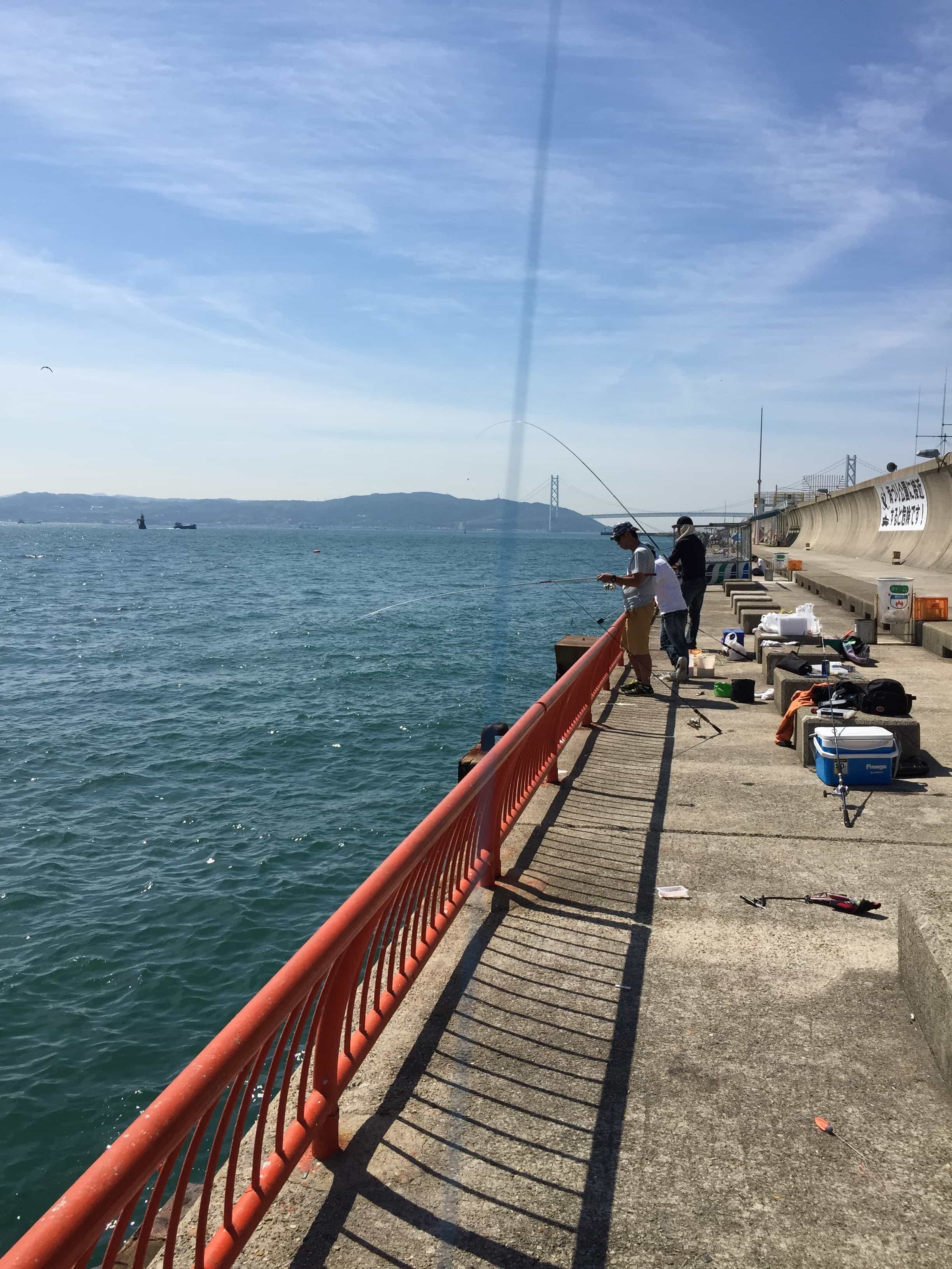 平磯海釣り公園の釣り場紹介（兵庫県神戸市）安全にかつ大物狙いもできる釣り公園 ヒラマサとアオリイカを求めて
