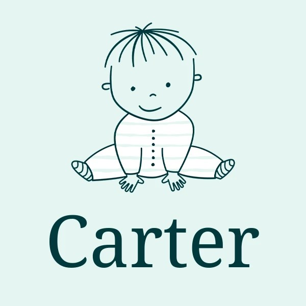 Boy's name Carter Meaning, Origin & Popularity 2024
