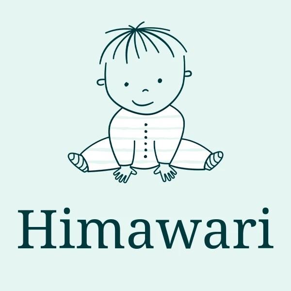 Name Himawari Meaning, Origin & Popularity 2024