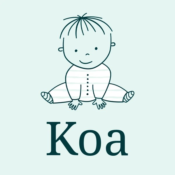 Koa meaning, origin, pronunciation & popularity