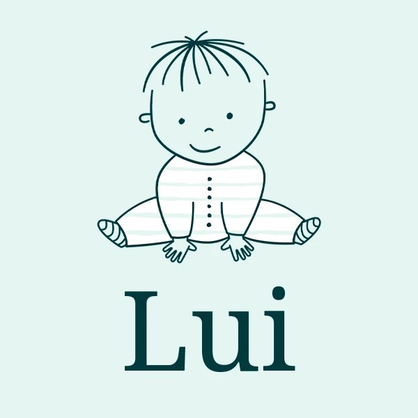 Lui meaning, origin, pronunciation & popularity