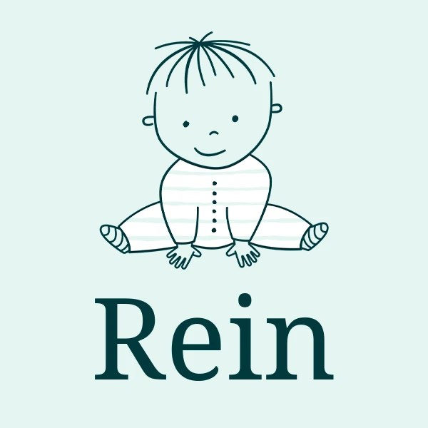 Rein Baby Name Meaning, Origin, Popularity