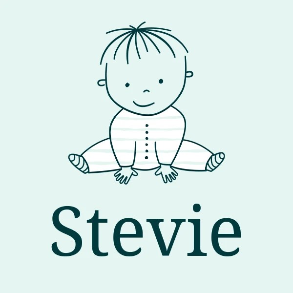 Stevie Baby Name Meaning, Origin, Popularity