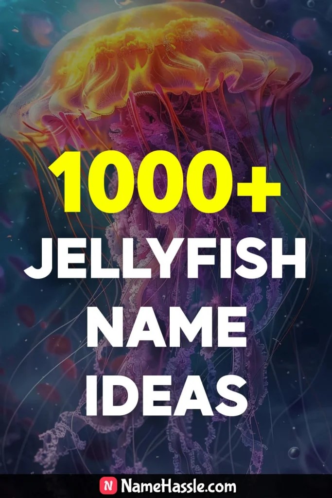 1770+ Cool And Catchy Jellyfish Names Ideas (Generator) 2024