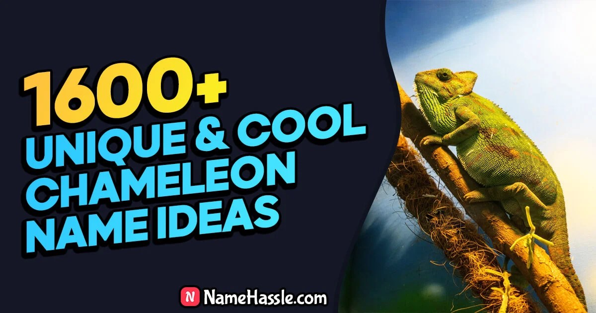 1600+ Unique YouTube Usernames Ideas (Generator) [2026](09)