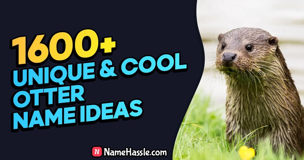 1600+ Best Unique Roblox Usernames Ideas (Generator) [2026](05)