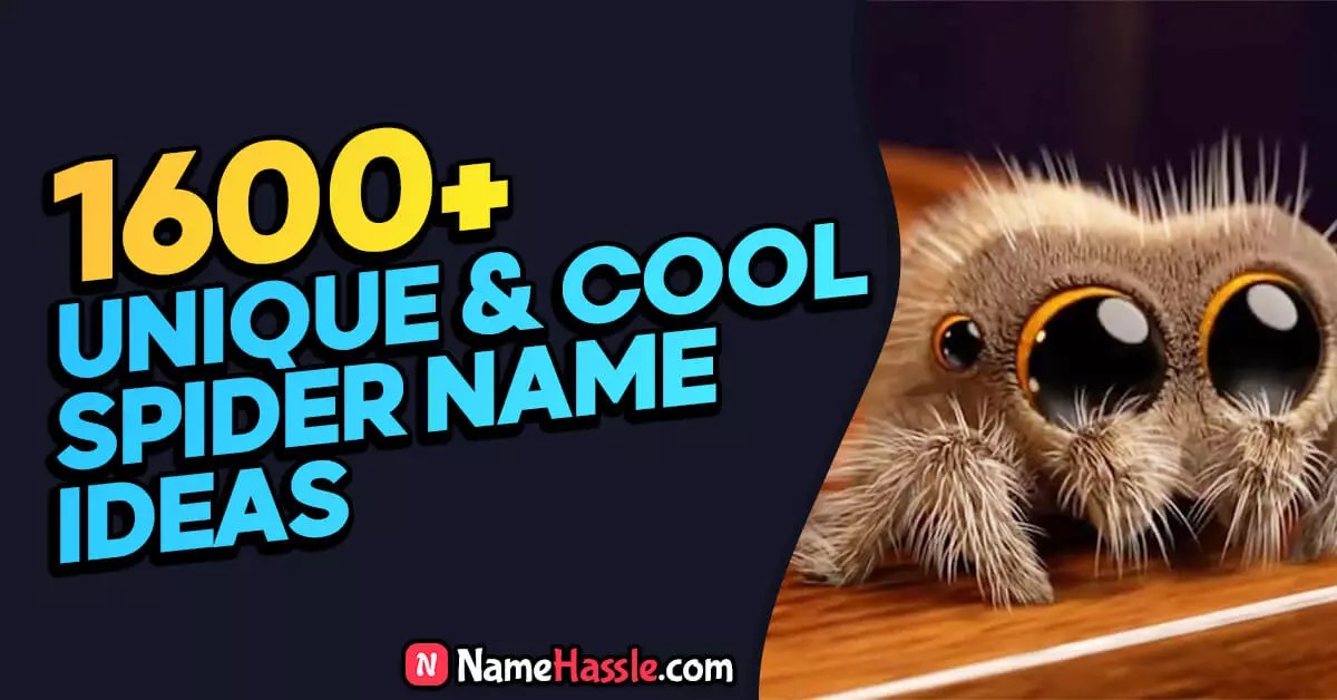 1600+ Cool Catchy & Unique Spider Names Generator 2024