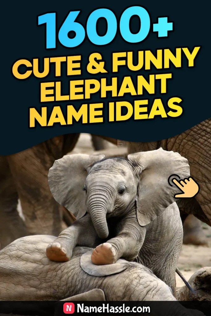 1600+ Cute & Funny Elephant Names Ideas (Generator) 2024