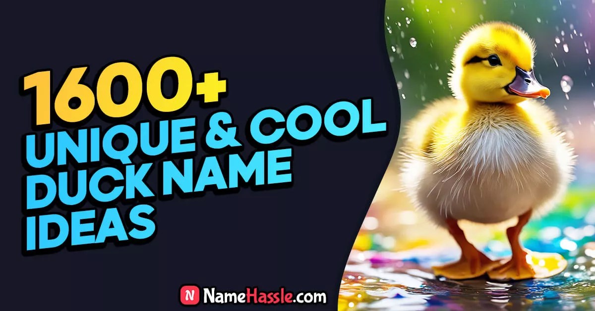 1600+ Unique Cool & Cute Duck Names (Generator) 2024