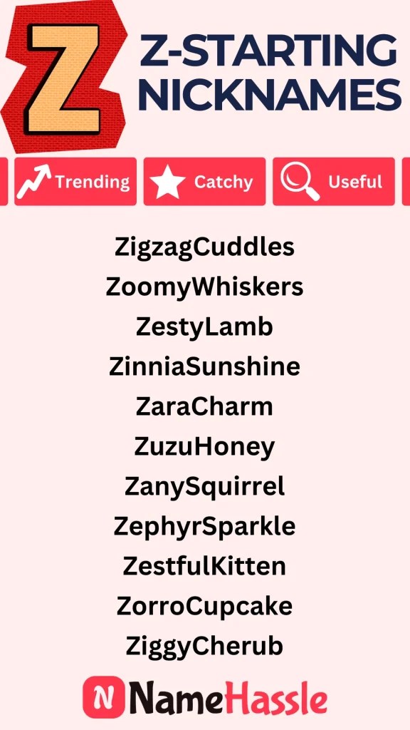 1246+ Unique Nicknames That Start With Z (Generator) [2024]
