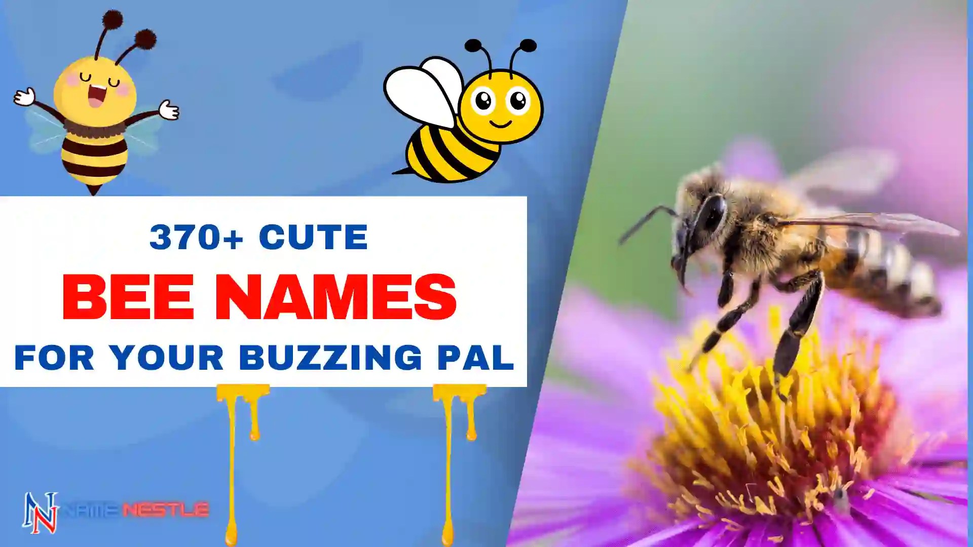 444+ Cool & Buzzing Bee Names For Your BuzzBuzz Pal
