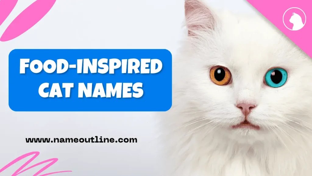 Perfectly Hilarious Best Funny Cat Names For Your Amusement Name Outline