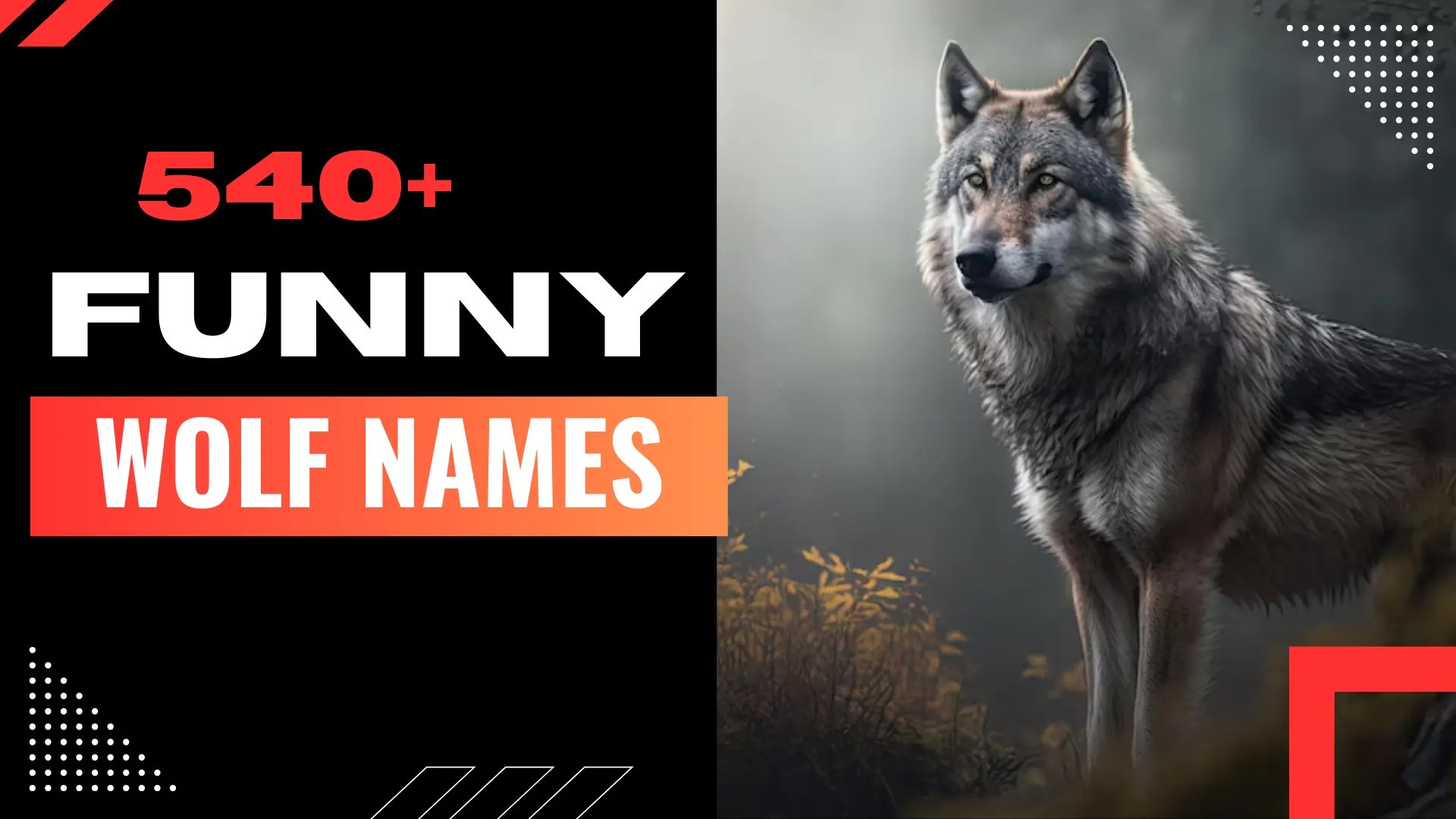371+ Funny Wolf Names + Try Our Generator (2024)