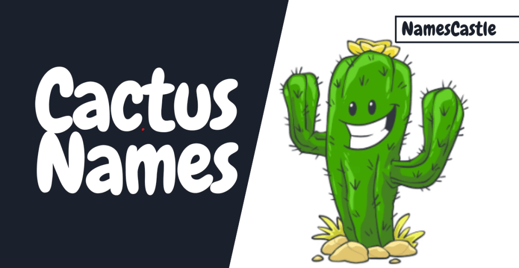 530+ Names For Cactus Unique Creative Funny Cool & Catchy