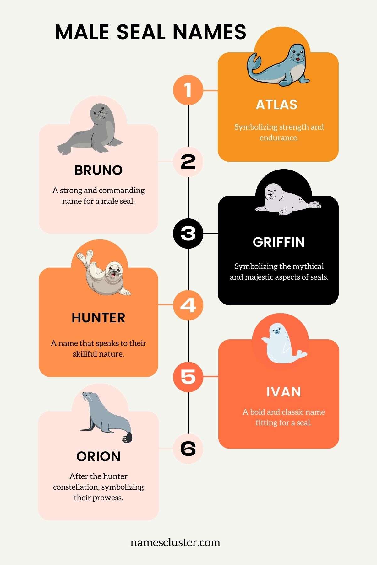 140+ Best Cute Funny Famous and Good Seal Names