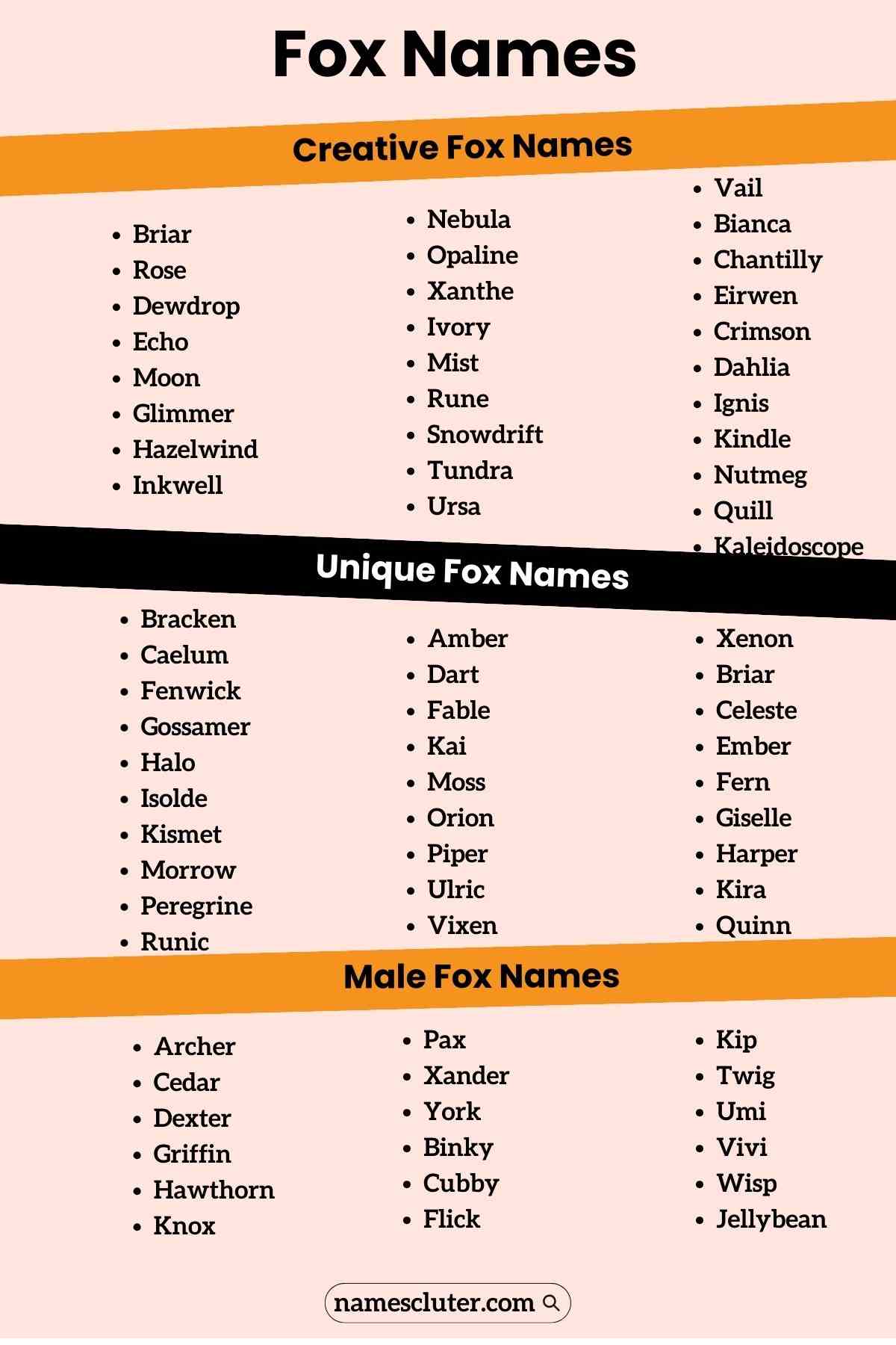 200 Best Cute Male Female And Baby Fox Names