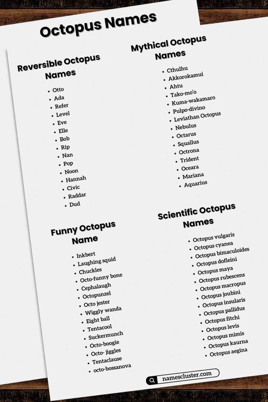 150+ Cute Funny Male and Female Octopus names.