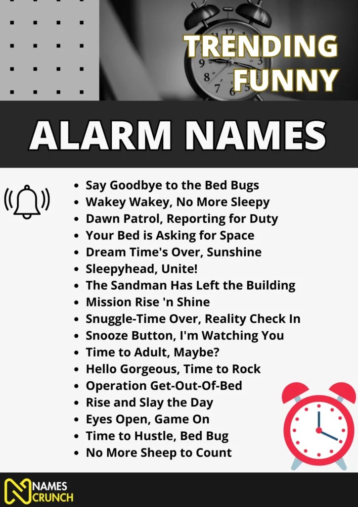 200+ Funny Alarm Names in 2024! Names Crunch